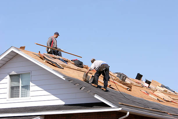  Glouster, OH Roofing repair and installation Pros
